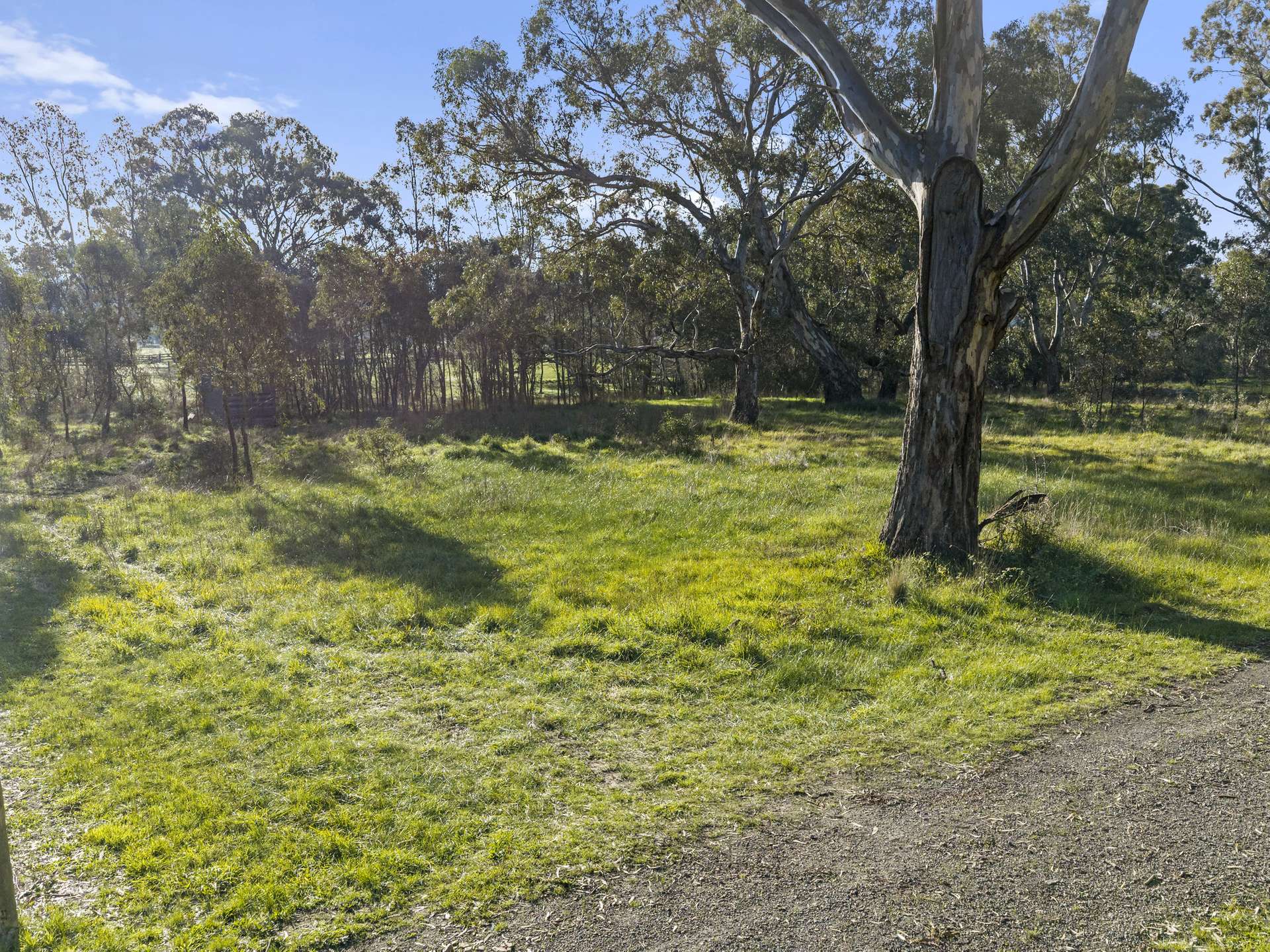 8203 Maroondah Highway, Merton For Sale by Farmbuy.com - image 5