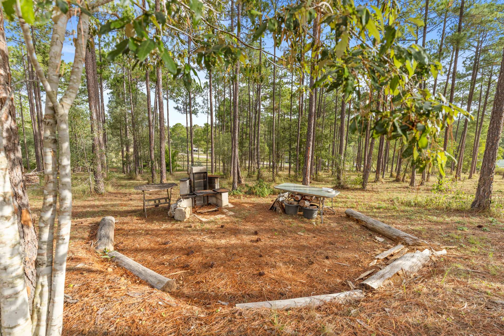 373 Arborfive Road, Glenwood For Sale by Farmbuy.com - image 21