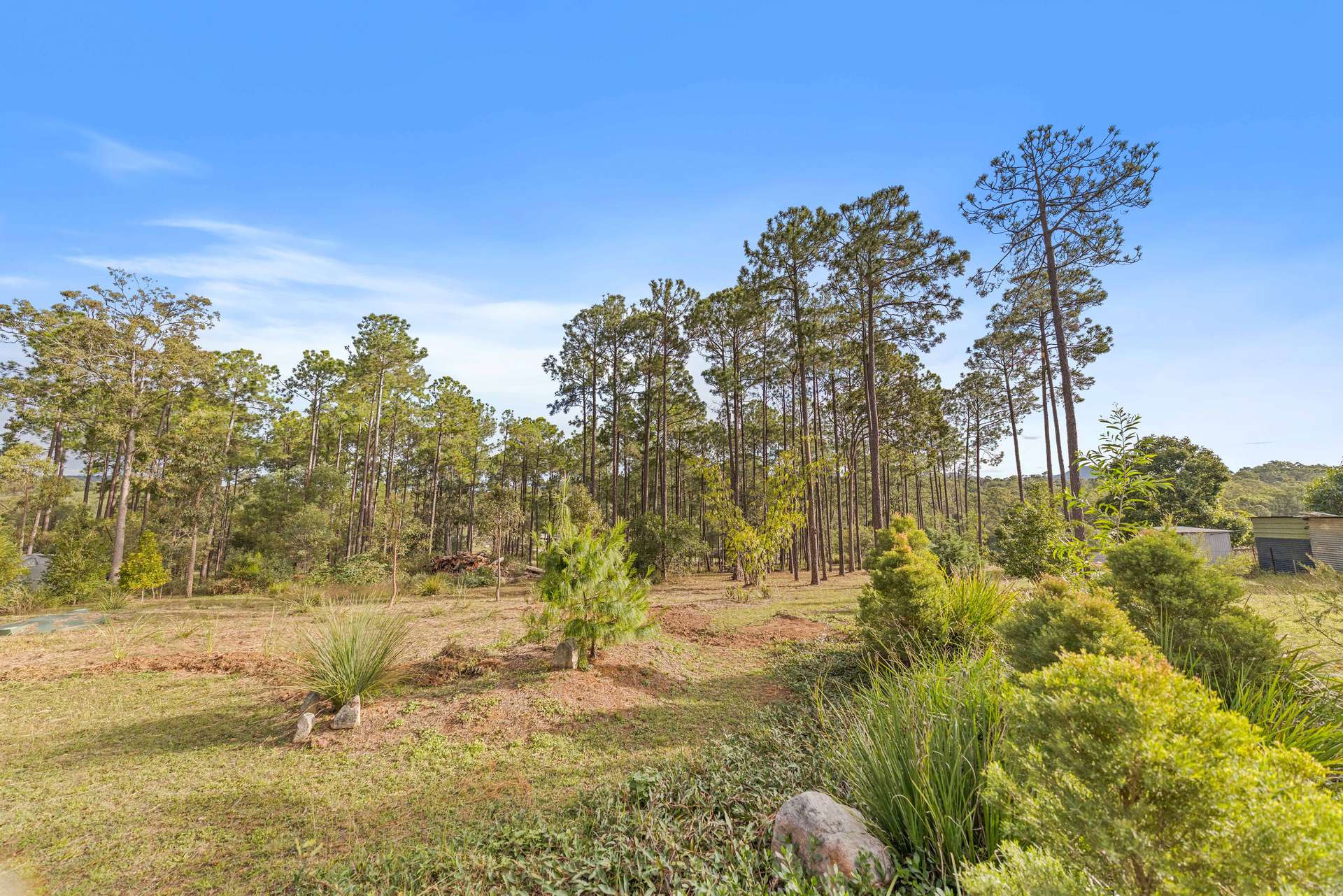 373 Arborfive Road, Glenwood For Sale by Farmbuy.com - image 20