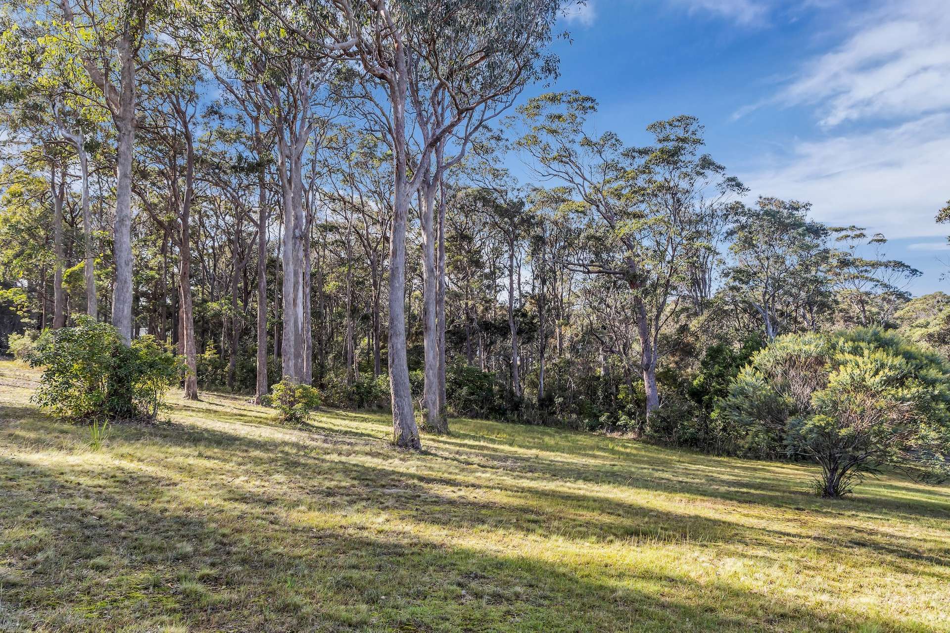 Lot 1, 4091 Tathra-Bermagui Road, Bermagui For Sale by Farmbuy.com - image 6