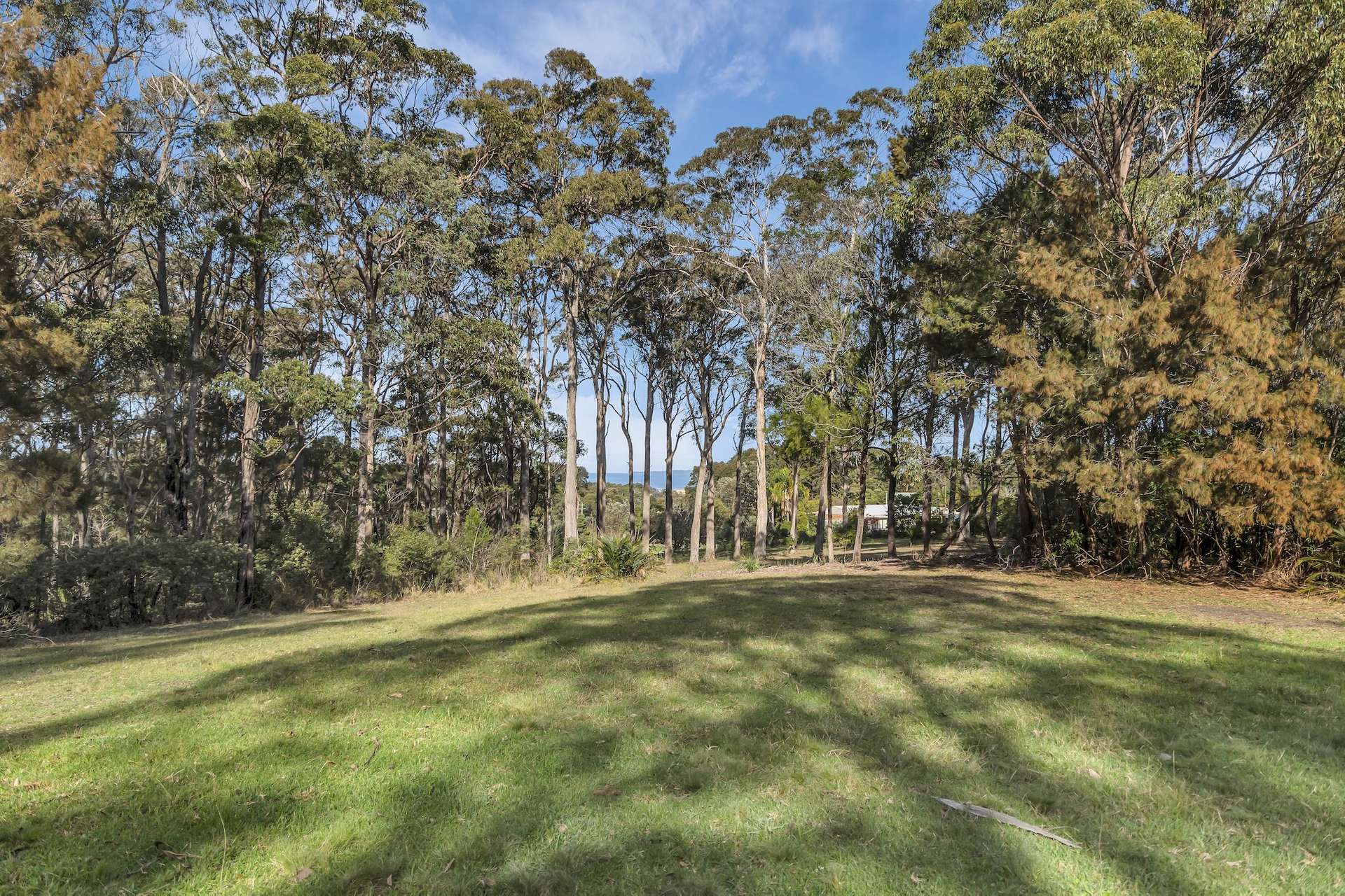 Lot 1, 4091 Tathra-Bermagui Road, Bermagui For Sale by Farmbuy.com - image 4