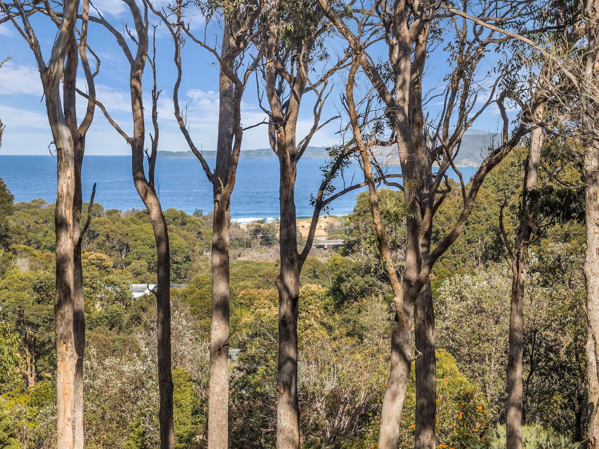 Lot 1, 4091 Tathra-Bermagui Road, Bermagui For Sale by Farmbuy.com - image 7