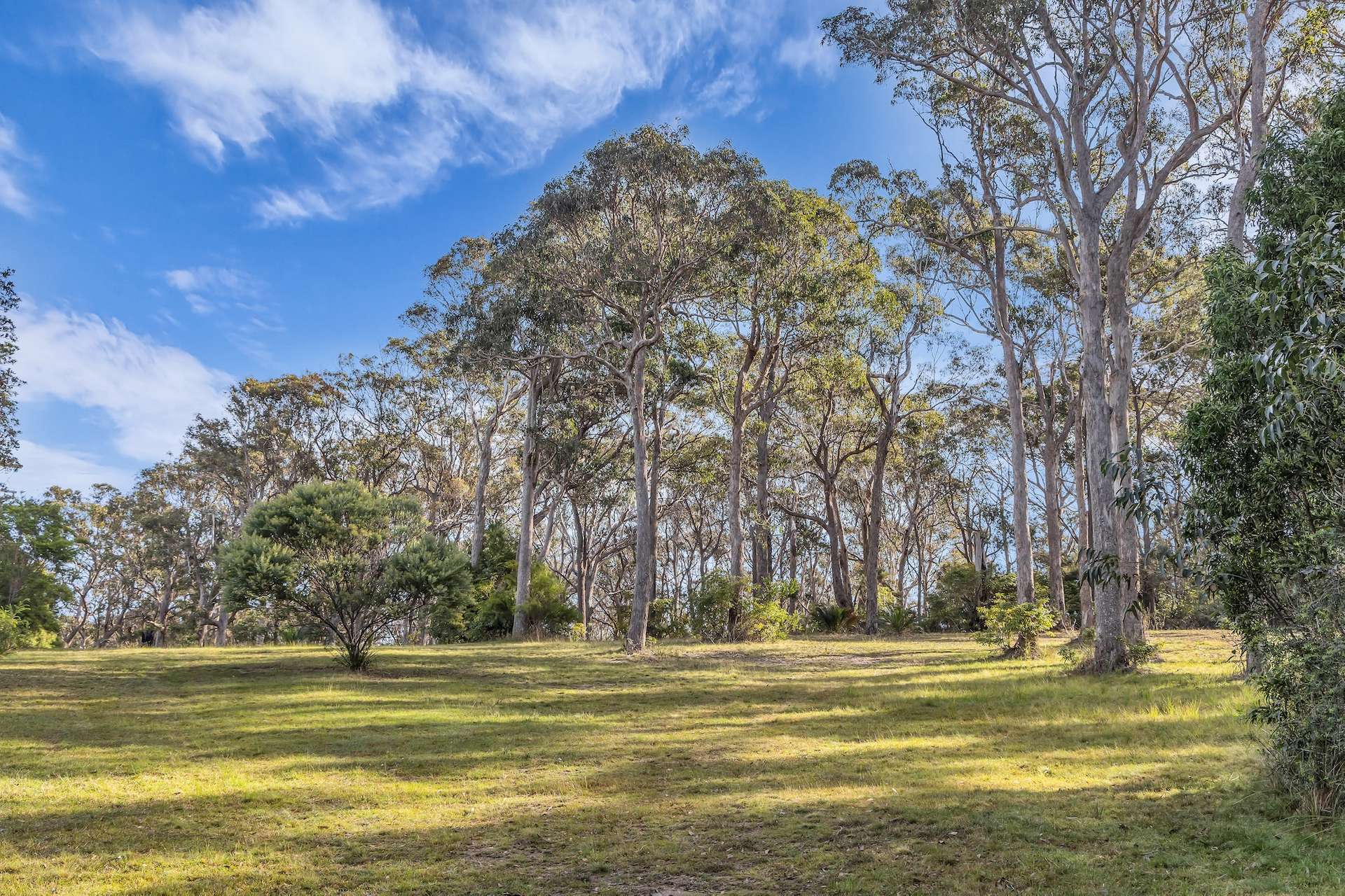 Lot 1, 4091 Tathra-Bermagui Road, Bermagui For Sale by Farmbuy.com - image 5