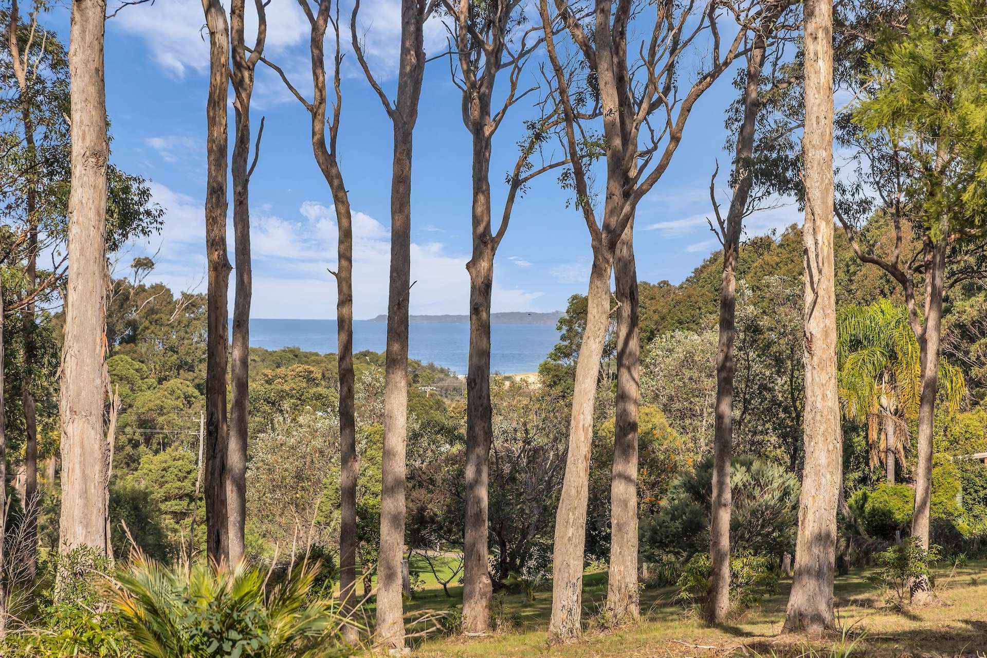 Lot 1, 4091 Tathra-Bermagui Road, Bermagui For Sale by Farmbuy.com - image 3