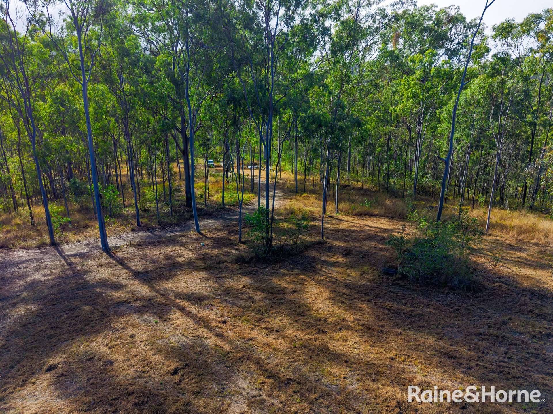 1895 Gaeta Road, Gaeta For Sale by Farmbuy.com - image 4