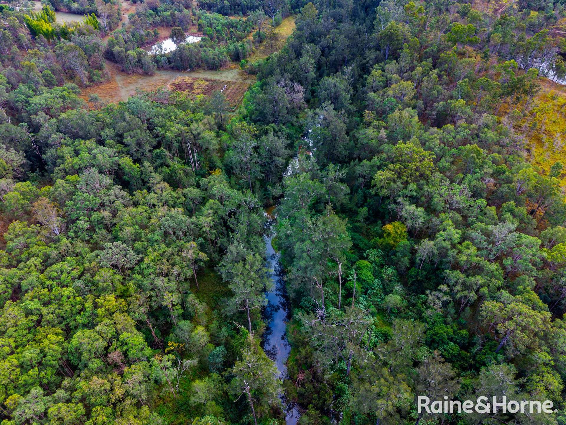 1895 Gaeta Road, Gaeta For Sale by Farmbuy.com - image 21