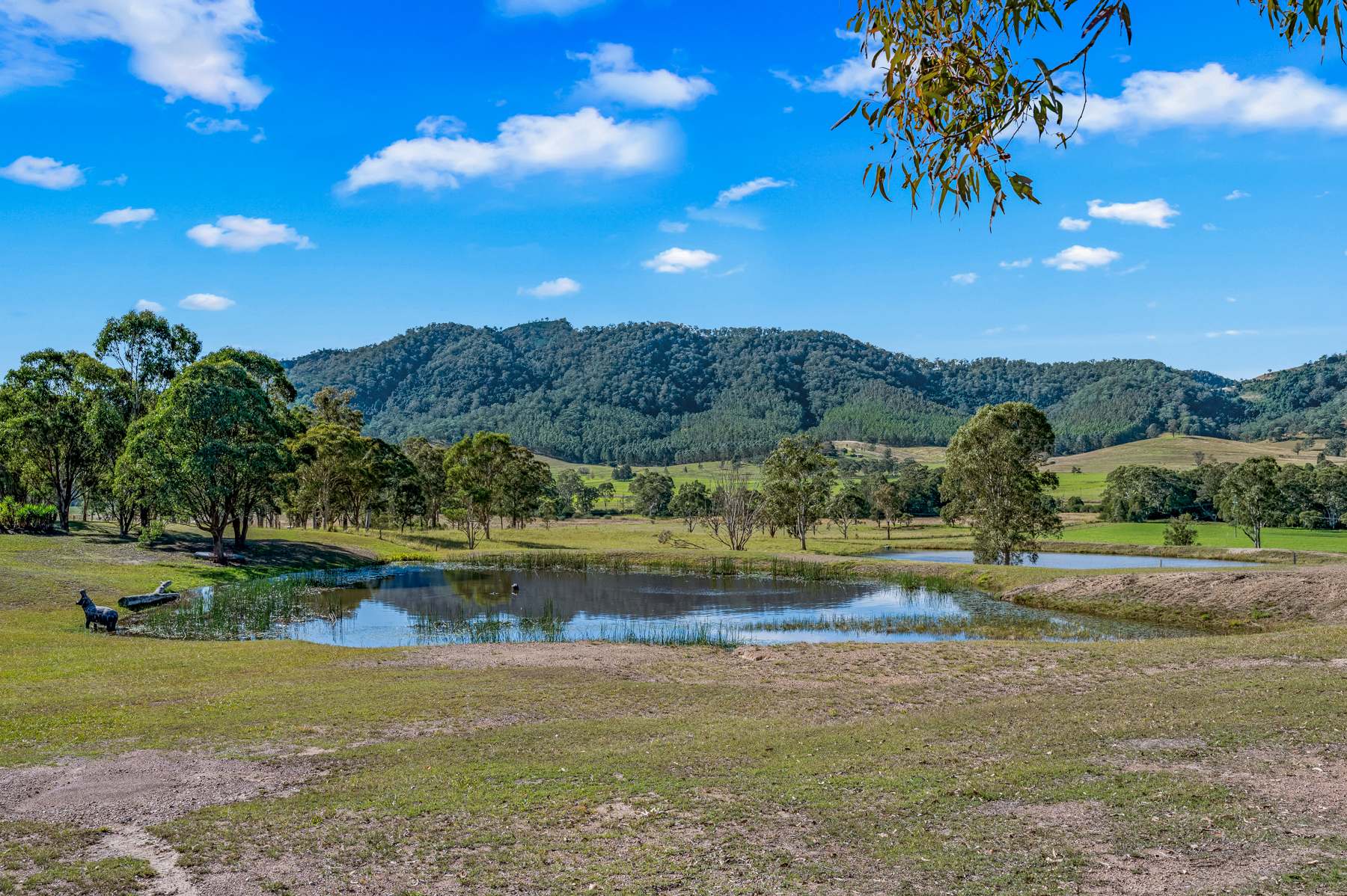 157 Jacks Road, Gloucester For Sale by Farmbuy.com - image 18