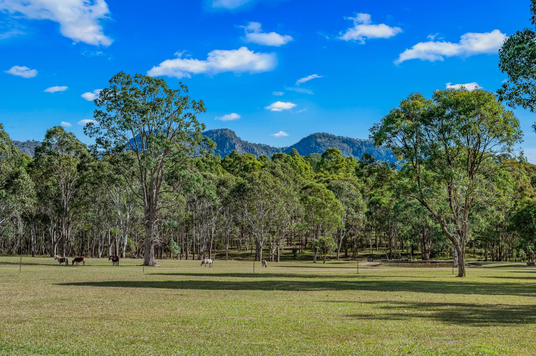 157 Jacks Road, Gloucester For Sale by Farmbuy.com - image 19