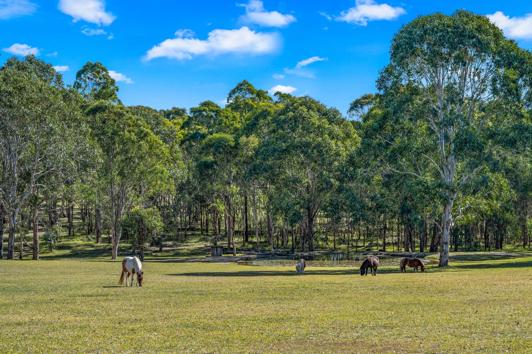 157 Jacks Road, Gloucester For Sale by Farmbuy.com - image 28