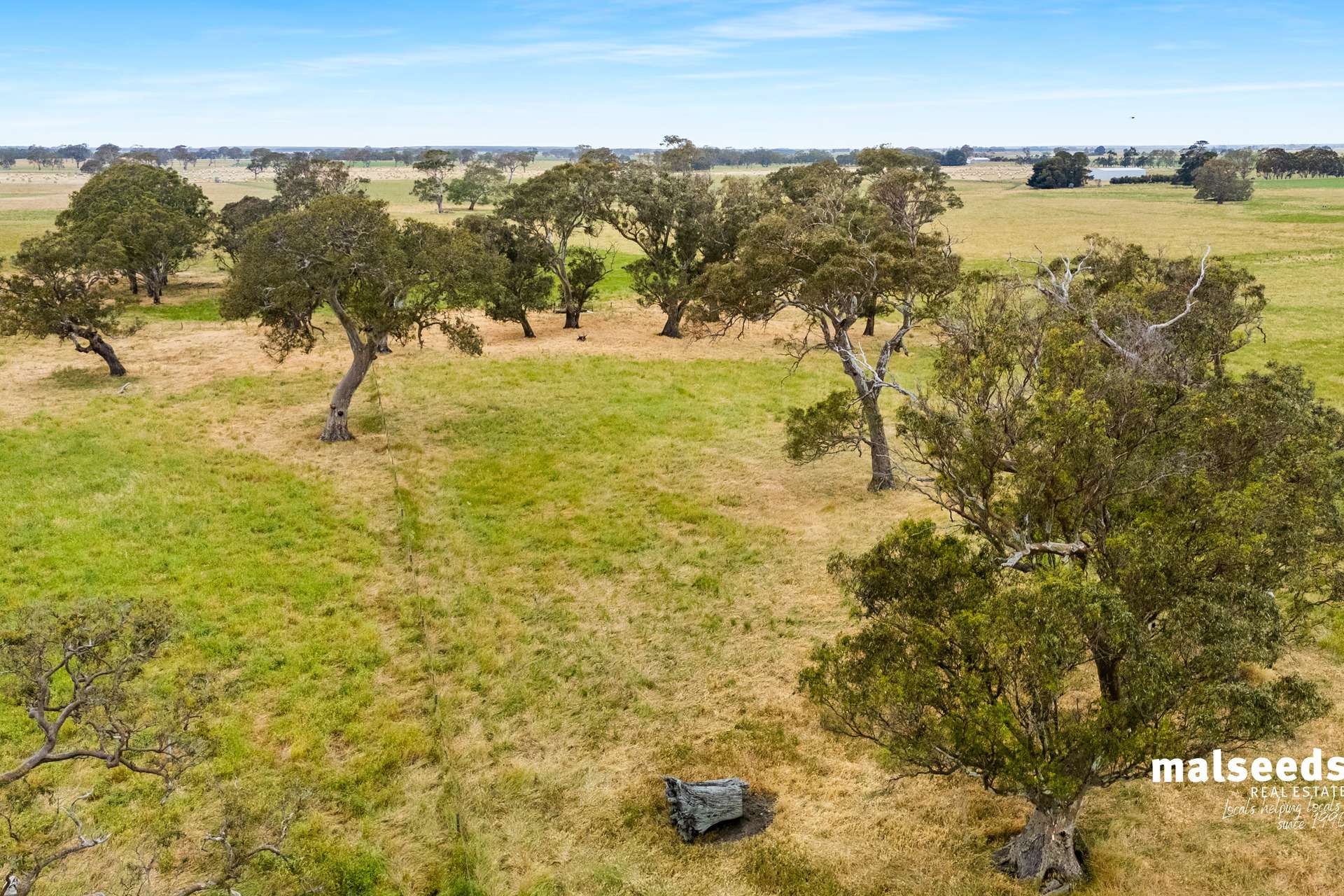 127 Kentish Road, Mingbool Sold by Farmbuy.com - image 7