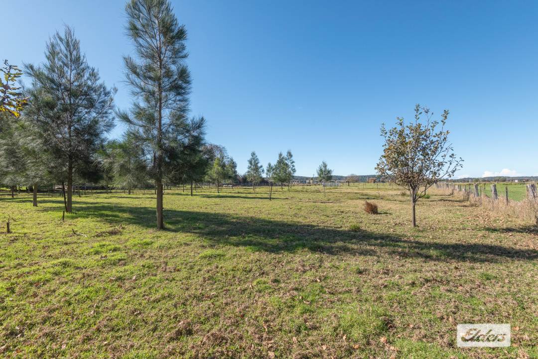 1 Guthrie Street, Moruya For Sale by Farmbuy.com - image 20