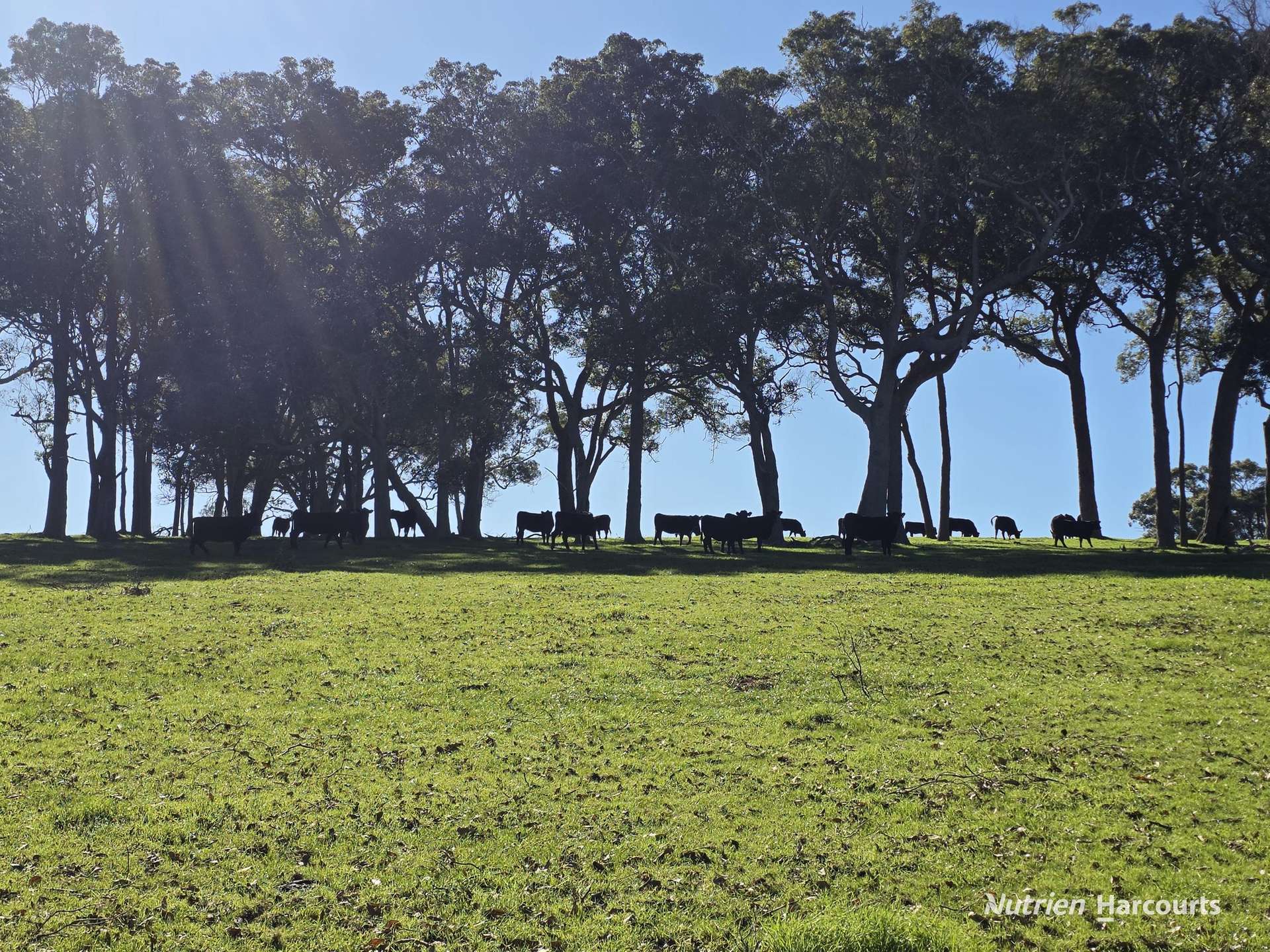 461 Nanarup Road/Hunton Road, Kalgan For Sale by Farmbuy.com - image 27