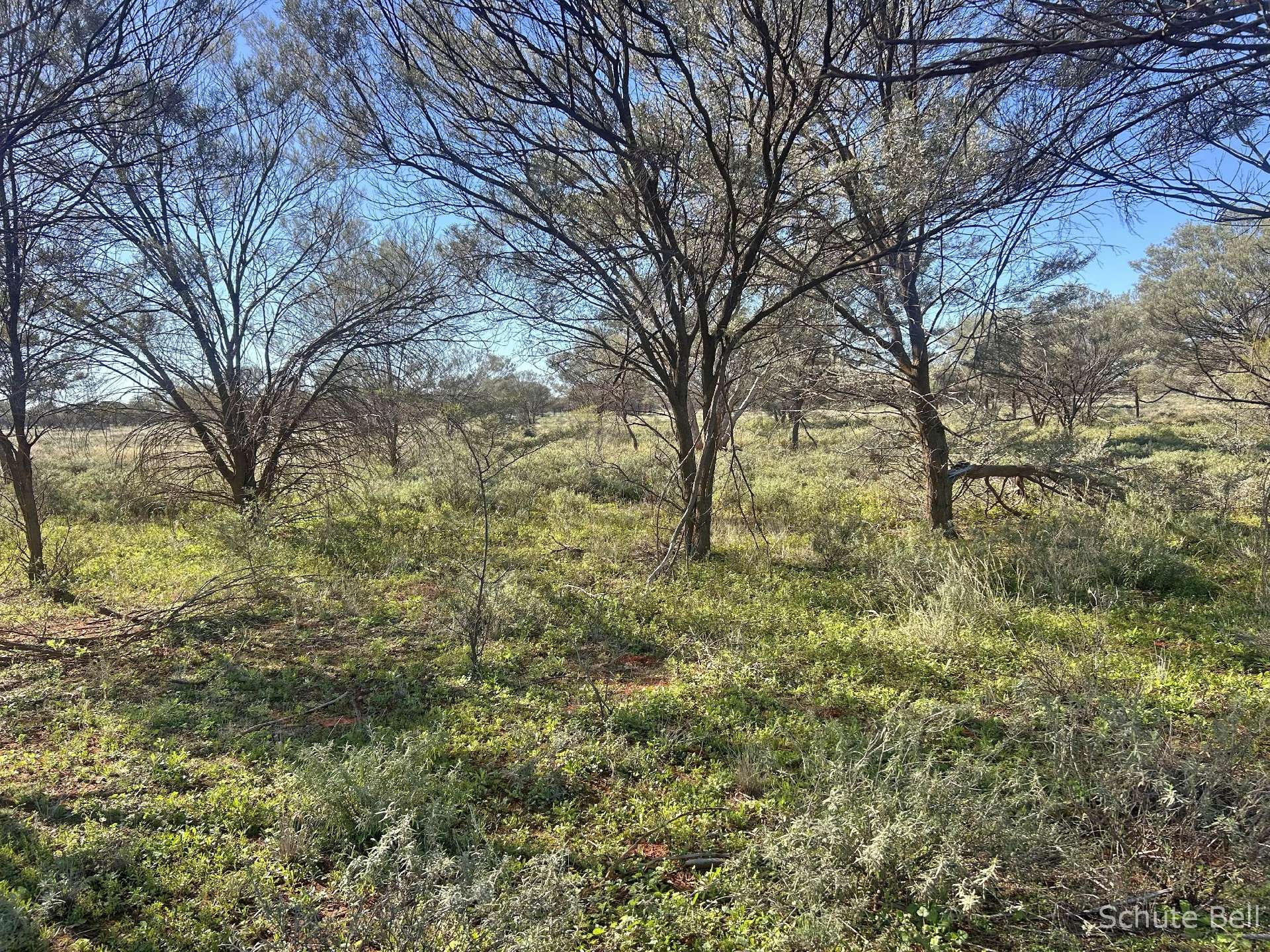 5522 Wampra Rd, Fords Bridge For Sale by Farmbuy.com - image 3