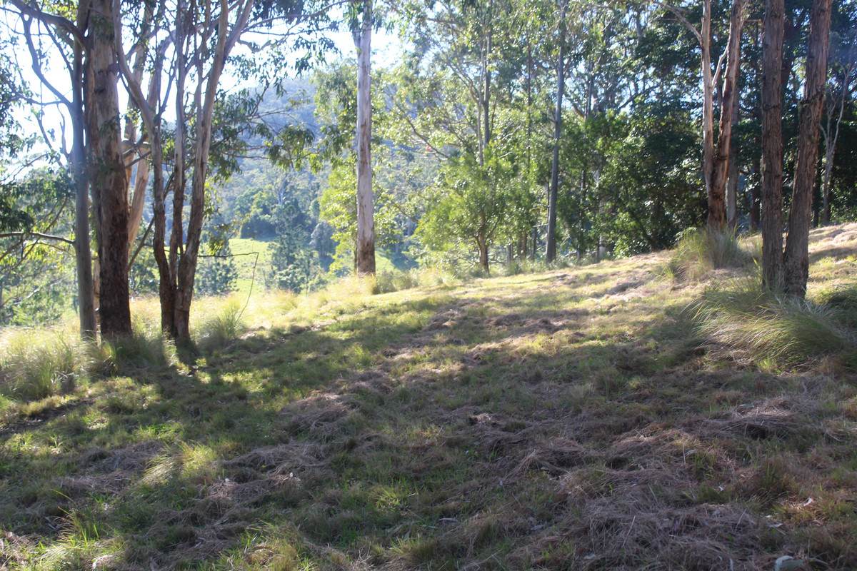 Lot 21,  Spring Creek Road, The Head For Sale by Farmbuy.com - image 3