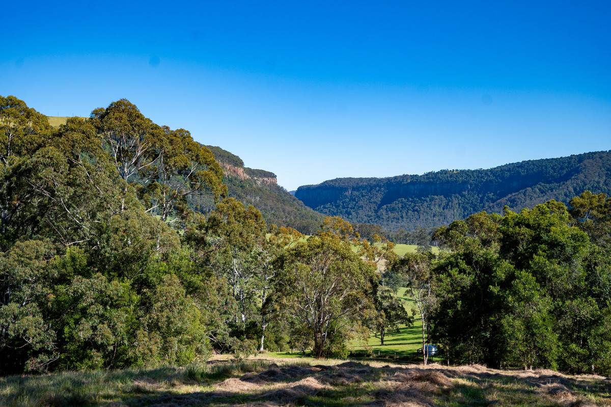 Lot 21,  Spring Creek Road, The Head For Sale by Farmbuy.com - image 10