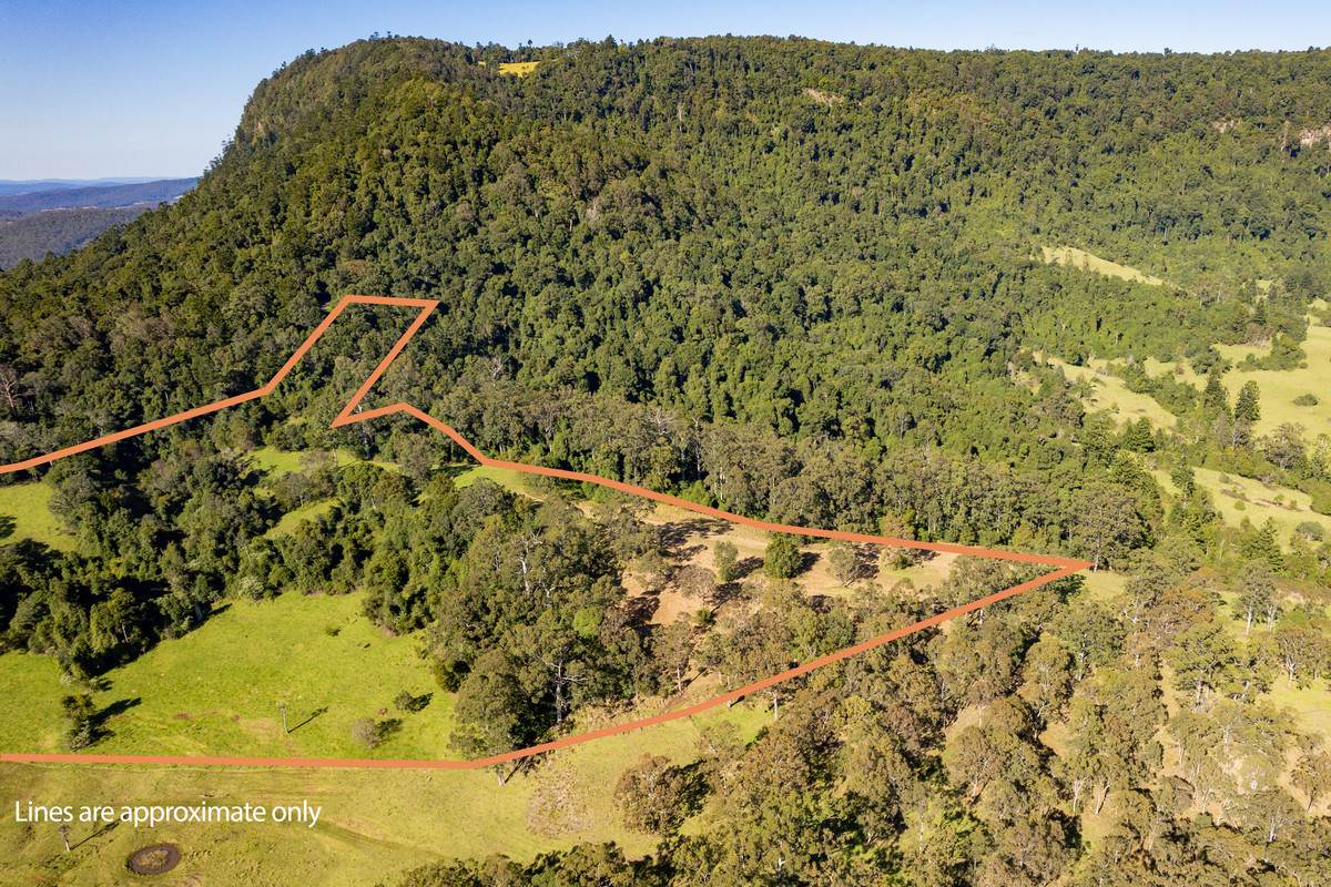 Lot 21,  Spring Creek Road, The Head For Sale by Farmbuy.com - image 15