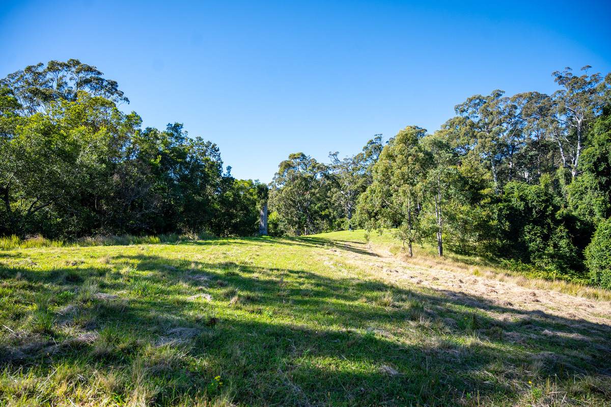 Lot 21,  Spring Creek Road, The Head For Sale by Farmbuy.com - image 6