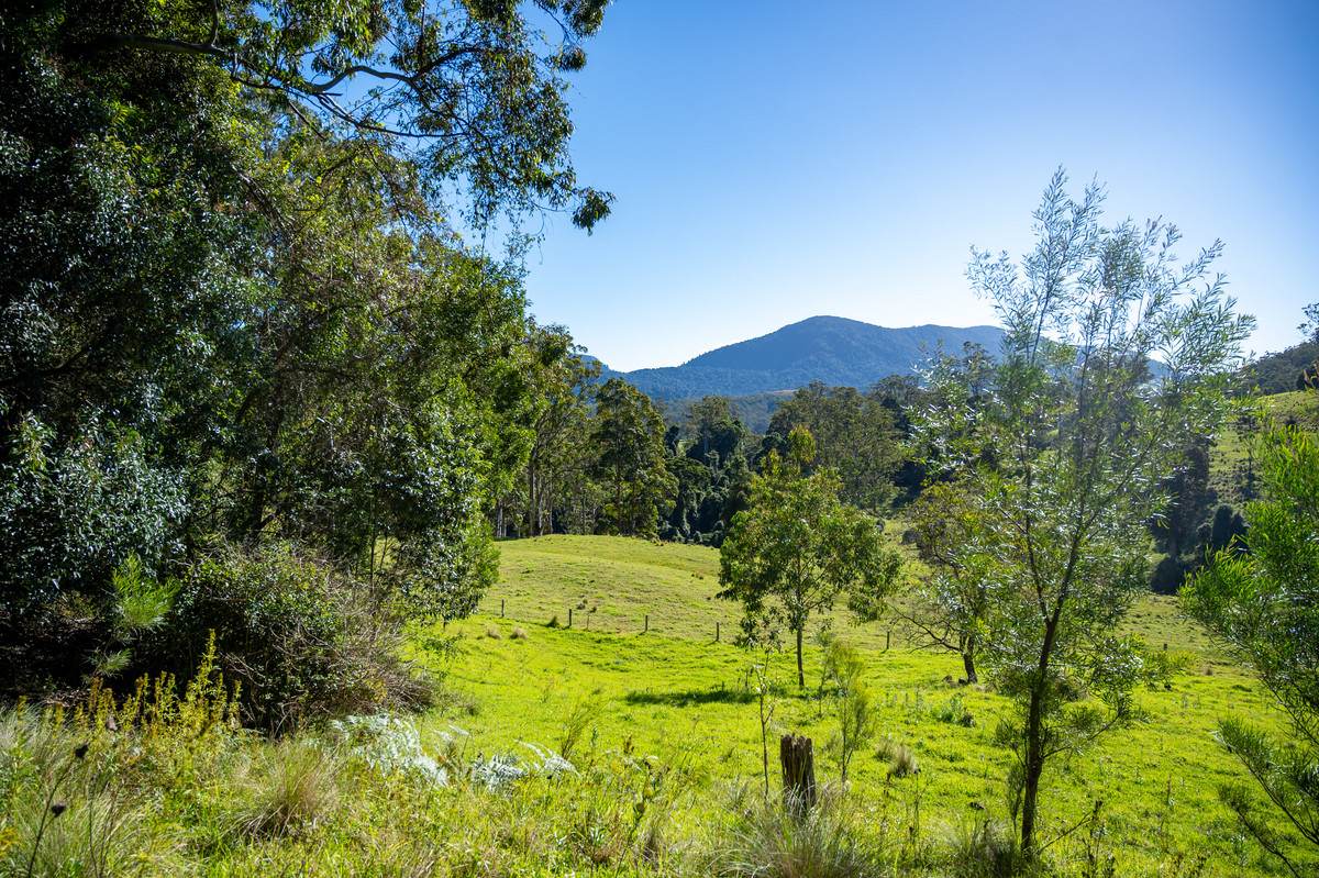 Lot 21,  Spring Creek Road, The Head For Sale by Farmbuy.com - image 4
