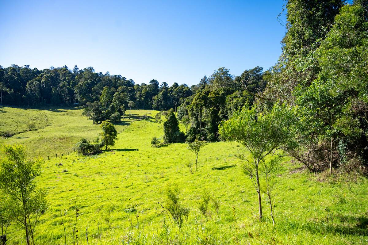 Lot 21,  Spring Creek Road, The Head For Sale by Farmbuy.com - image 1