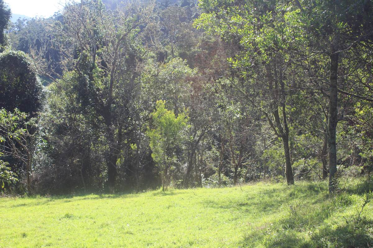 Lot 21,  Spring Creek Road, The Head For Sale by Farmbuy.com - image 12