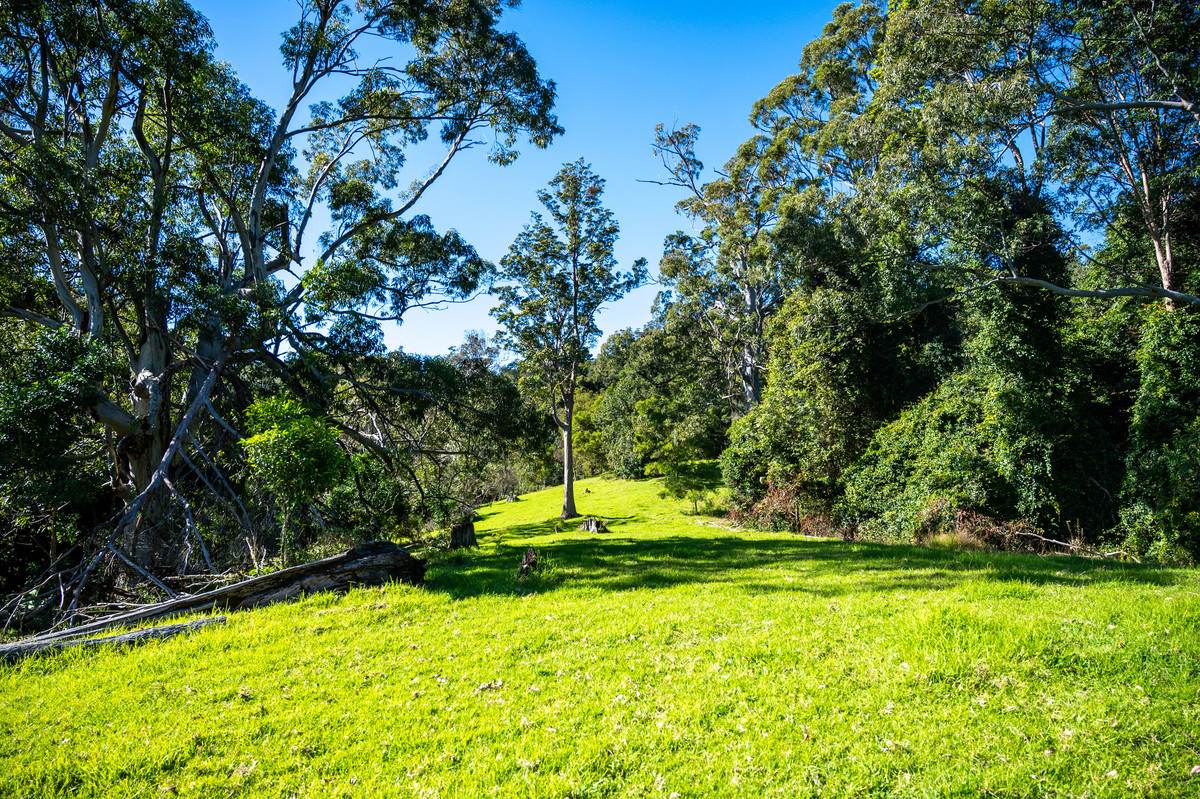 Lot 21,  Spring Creek Road, The Head For Sale by Farmbuy.com - image 7