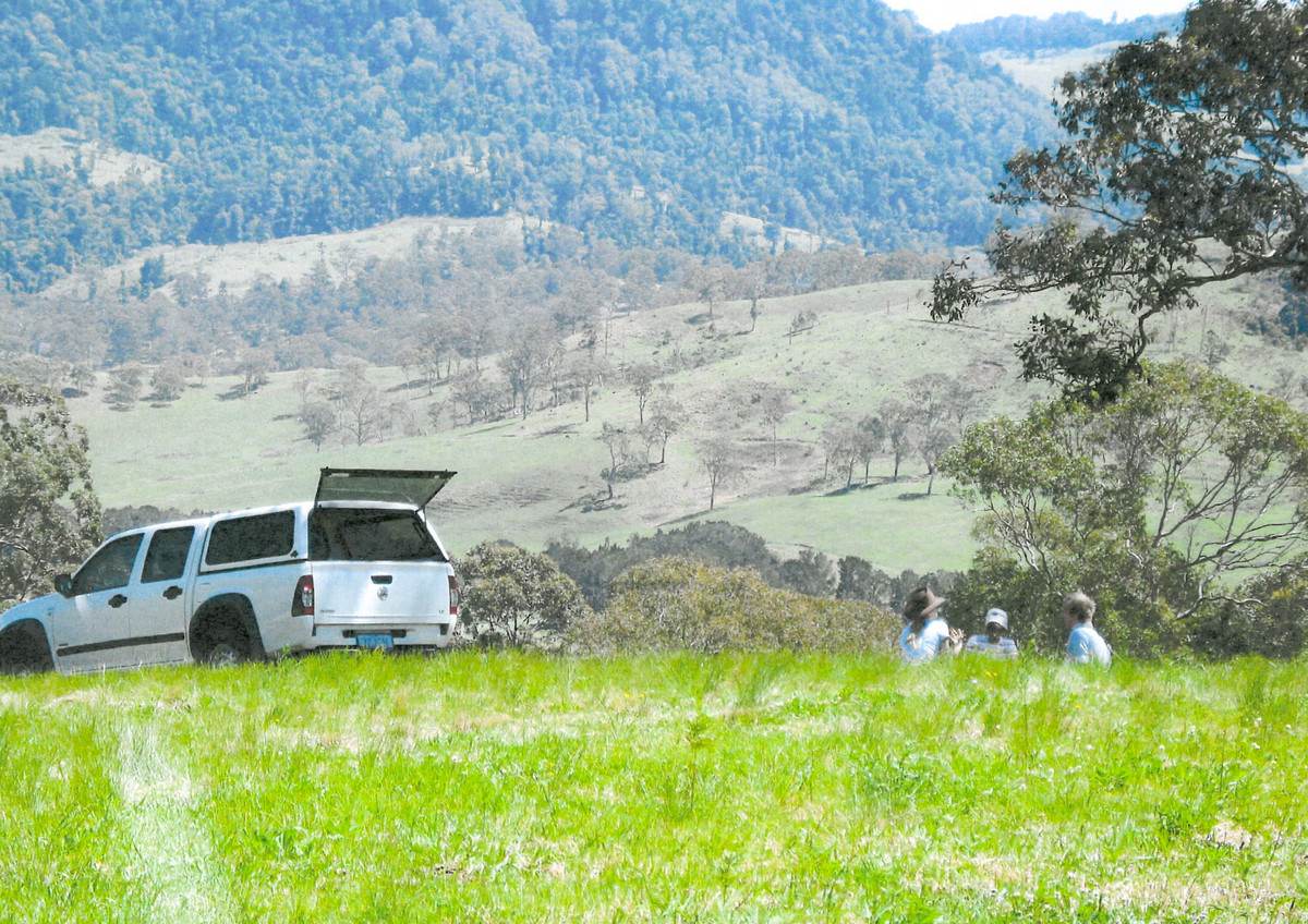 Lot 21,  Spring Creek Road, The Head For Sale by Farmbuy.com - image 9