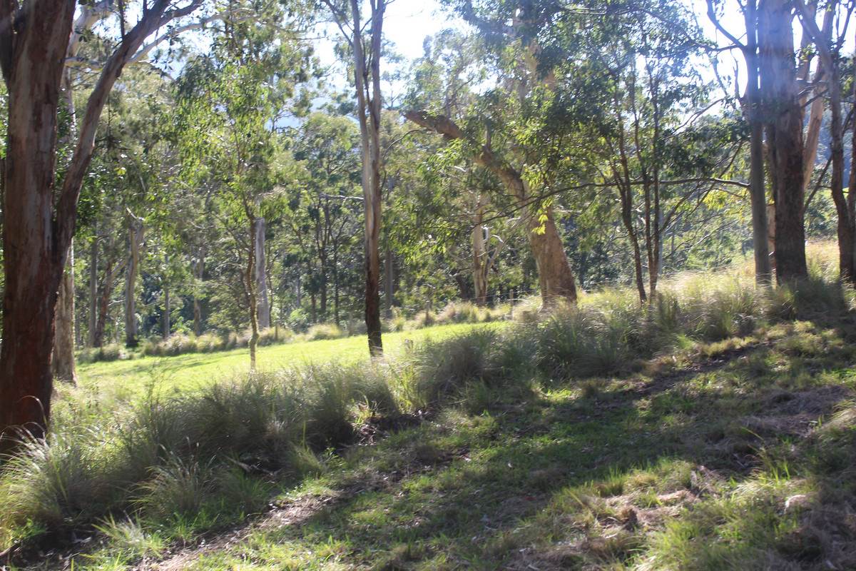 Lot 21,  Spring Creek Road, The Head For Sale by Farmbuy.com - image 12