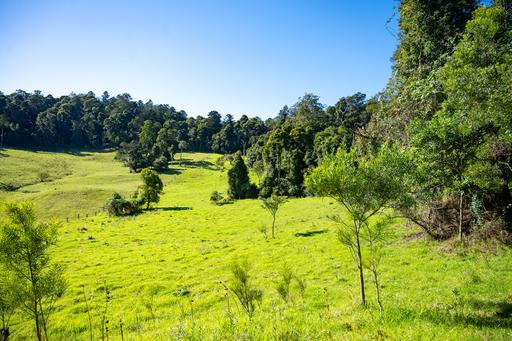 Farm For Sale - QLD - The Head - 4373 - YOUR PRIVATE ESCAPE AWAITS – 19+ ACRES OF NATURAL BEAUTY IN THE SOUTHERN DOWNS 