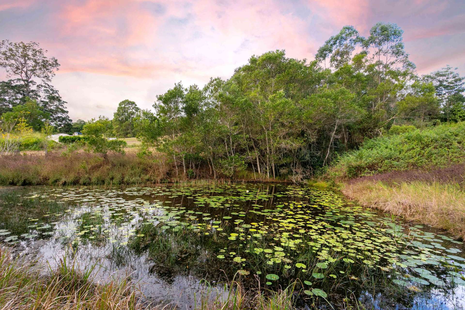 1414 Cooroy Belli Creek Road, Ridgewood For Sale by Farmbuy.com - image 34