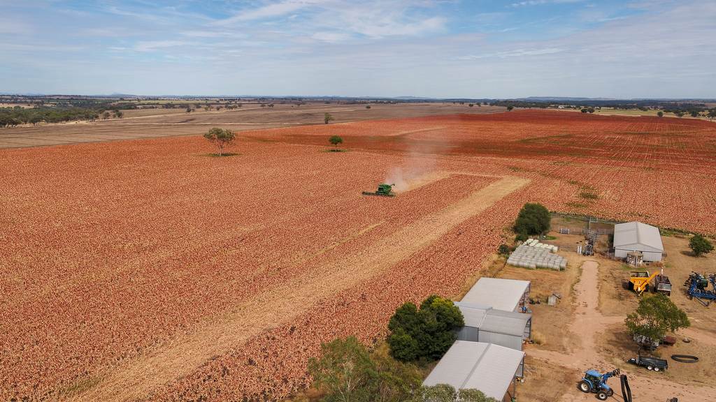 364 Lecoin Road Delungra, Inverell NSW 2360
