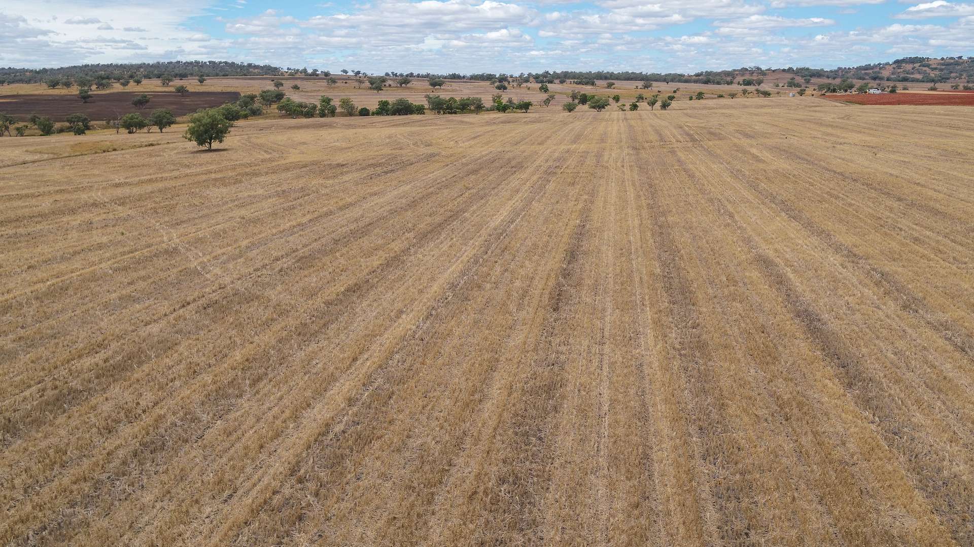 364 Lecoin Road Delungra, Inverell For Sale by Farmbuy.com - image 26