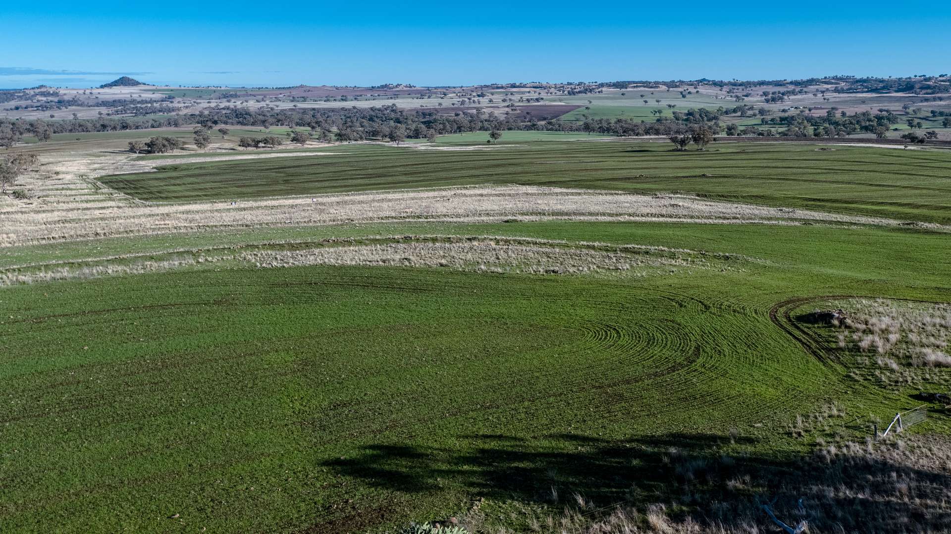 364 Lecoin Road Delungra, Inverell For Sale by Farmbuy.com - image 35