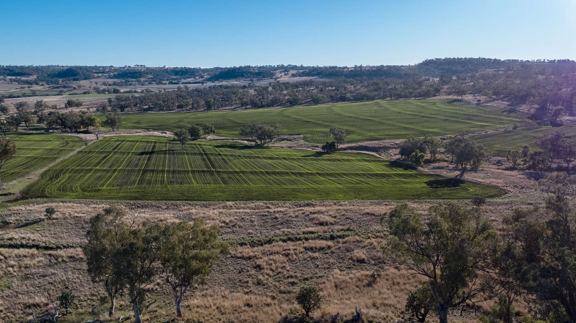 364 Lecoin Road Delungra, Inverell For Sale by Farmbuy.com - image 7