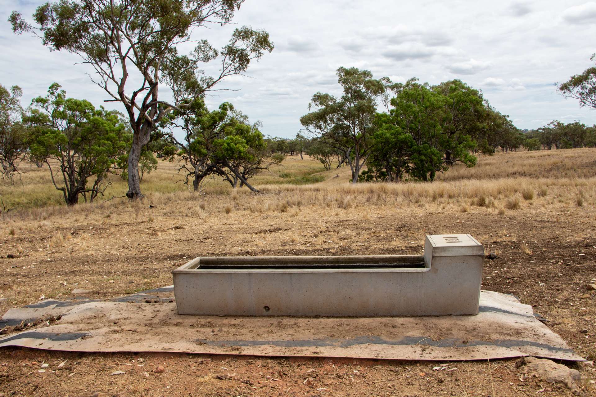 364 Lecoin Road Delungra, Inverell For Sale by Farmbuy.com - image 11