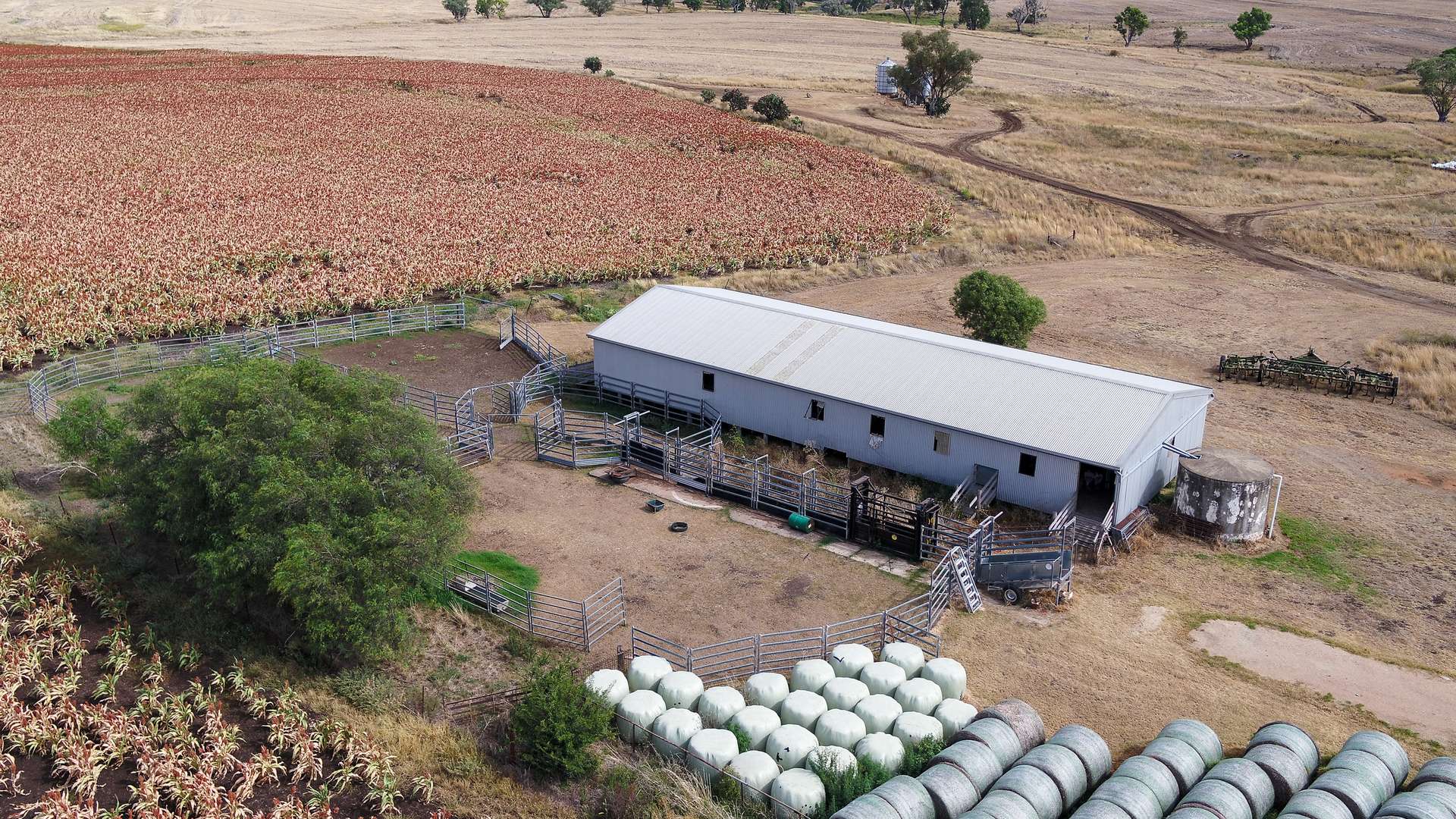 364 Lecoin Road Delungra, Inverell For Sale by Farmbuy.com - image 17