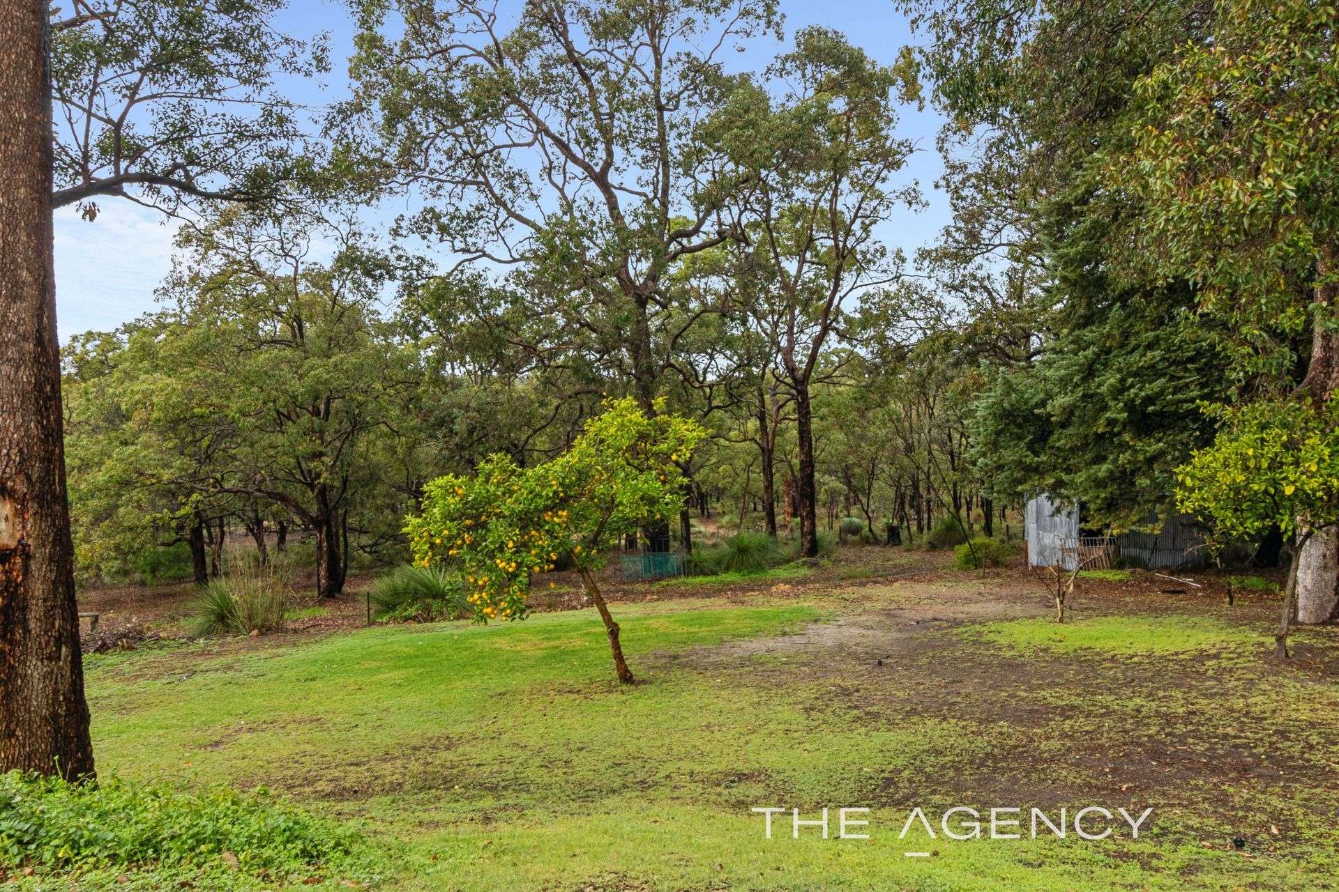 250 Tomlinson Road, Hovea For Sale by Farmbuy.com - image 29