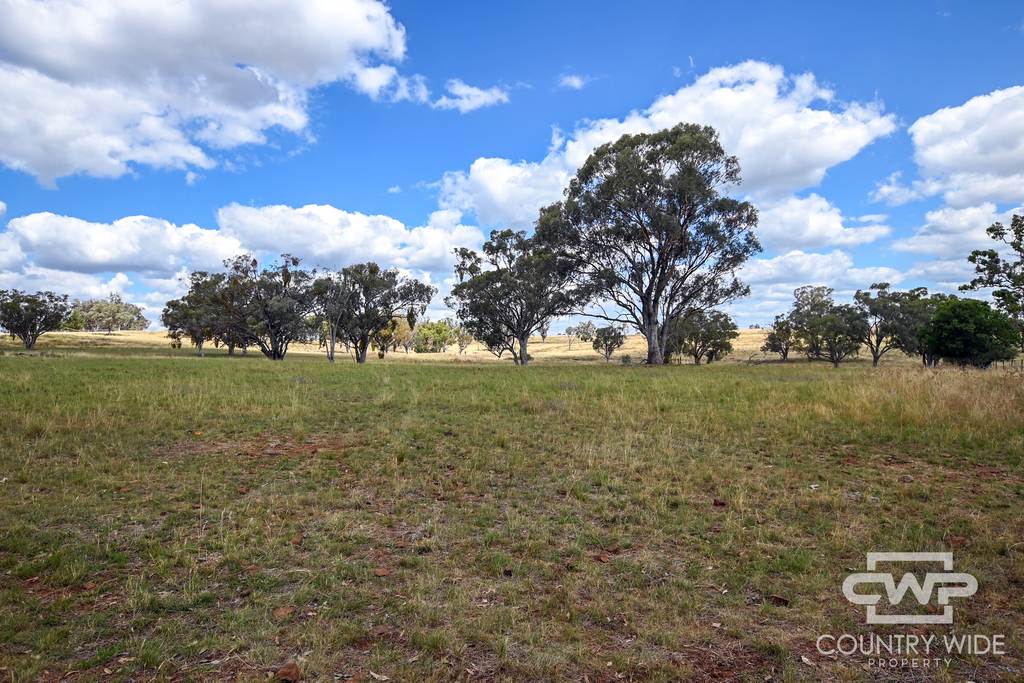 1925 Nullamanna Road, Nullamanna NSW 2360