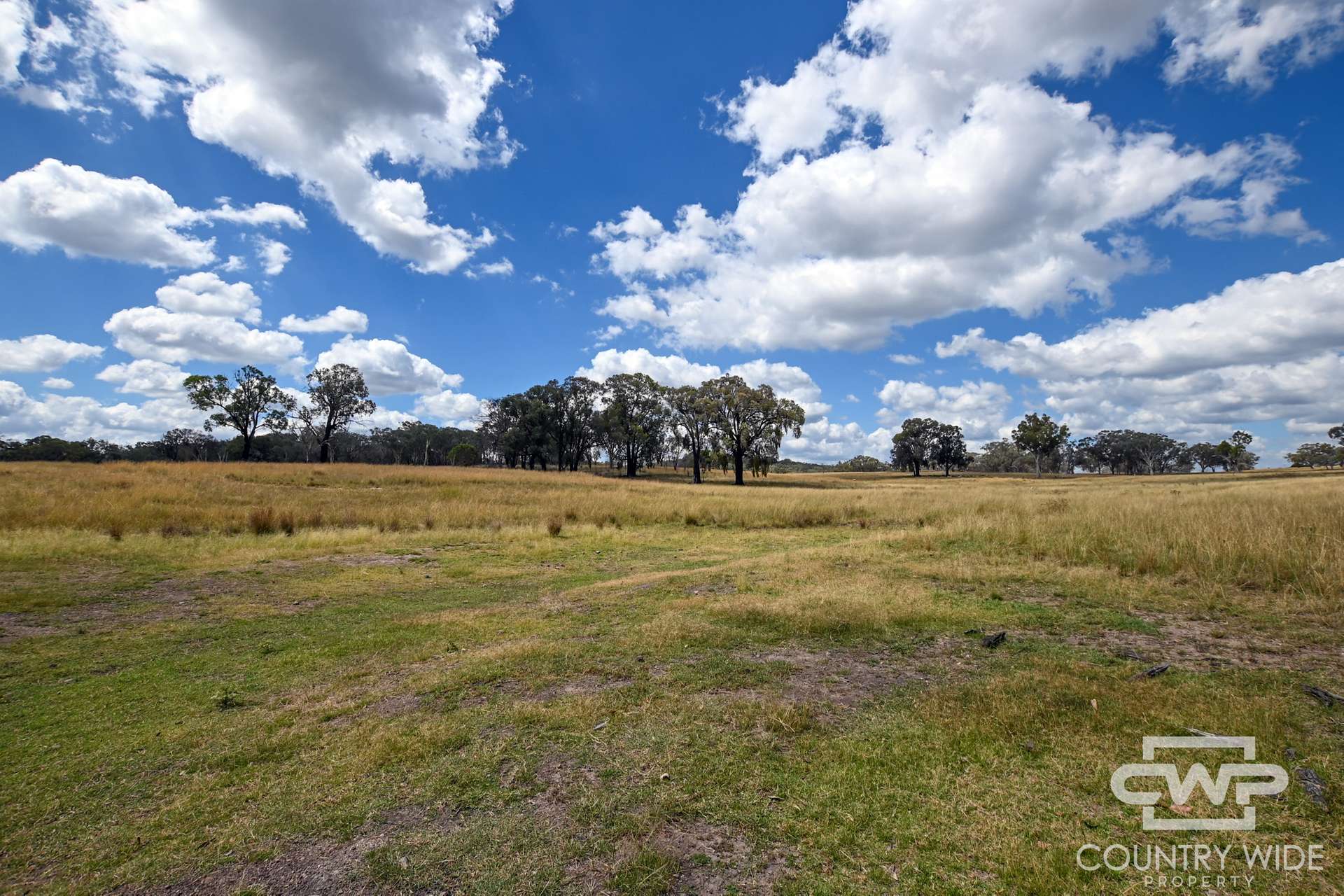 1925 Nullamanna Road, Nullamanna For Sale by Farmbuy.com - image 6
