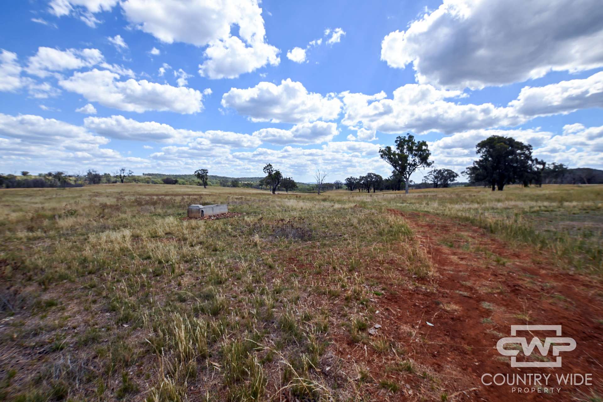1925 Nullamanna Road, Nullamanna For Sale by Farmbuy.com - image 7