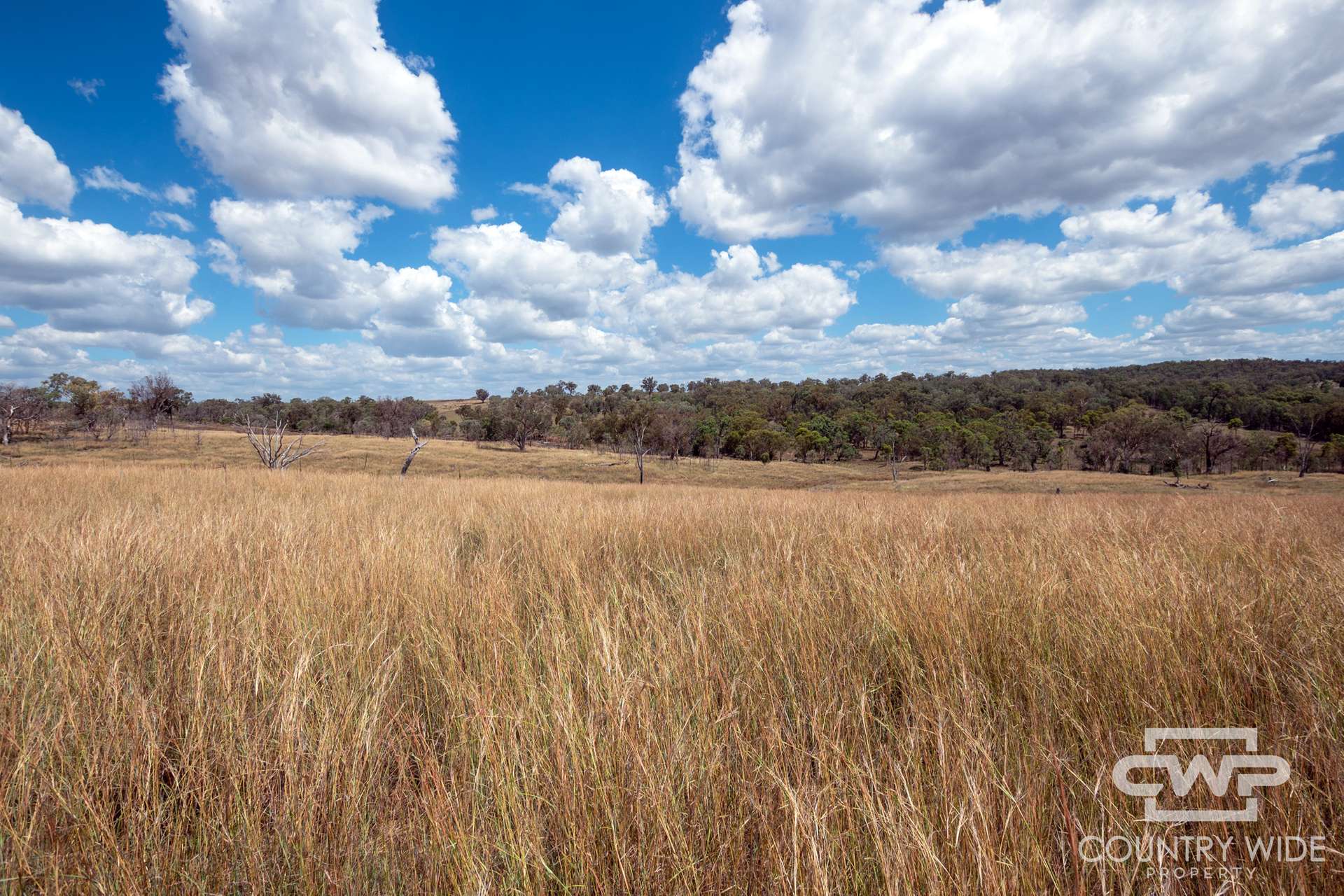 1925 Nullamanna Road, Nullamanna For Sale by Farmbuy.com - image 4