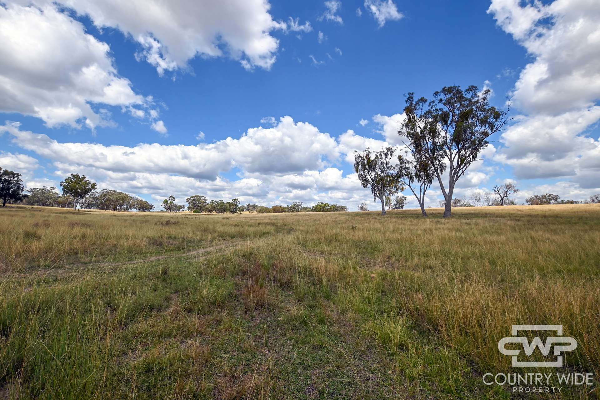 1925 Nullamanna Road, Nullamanna For Sale by Farmbuy.com - image 5