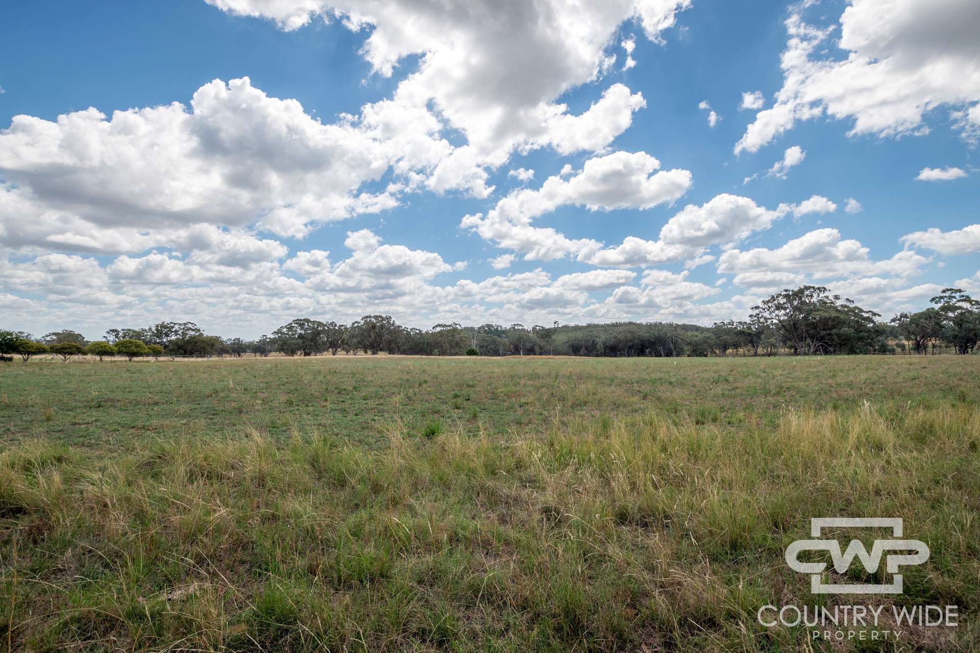 1925 Nullamanna Road, Nullamanna For Sale by Farmbuy.com - image 10