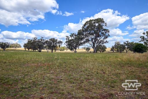 1925 Nullamanna Road, Nullamanna NSW 2360