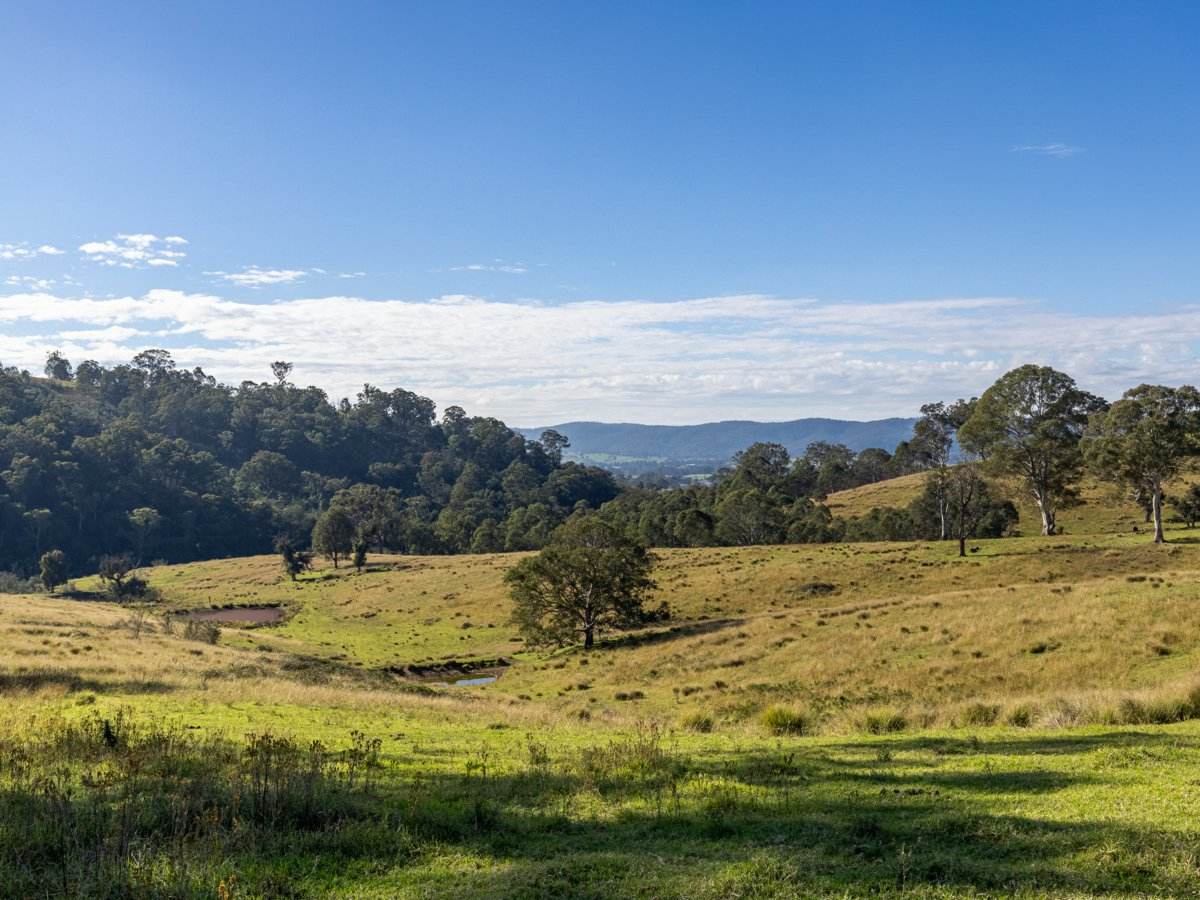 170 Peak Hill Road, Bega For Sale by Farmbuy.com - image 13