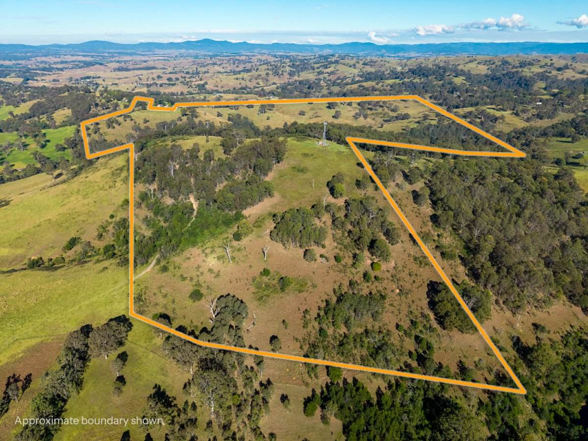 170 Peak Hill Road, Bega For Sale by Farmbuy.com - image 3