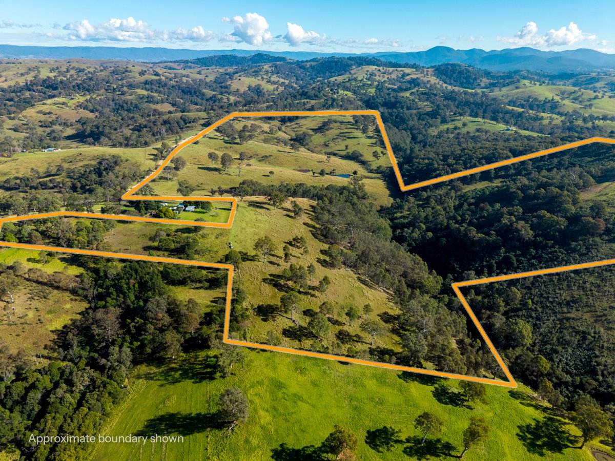 170 Peak Hill Road, Bega For Sale by Farmbuy.com - image 2