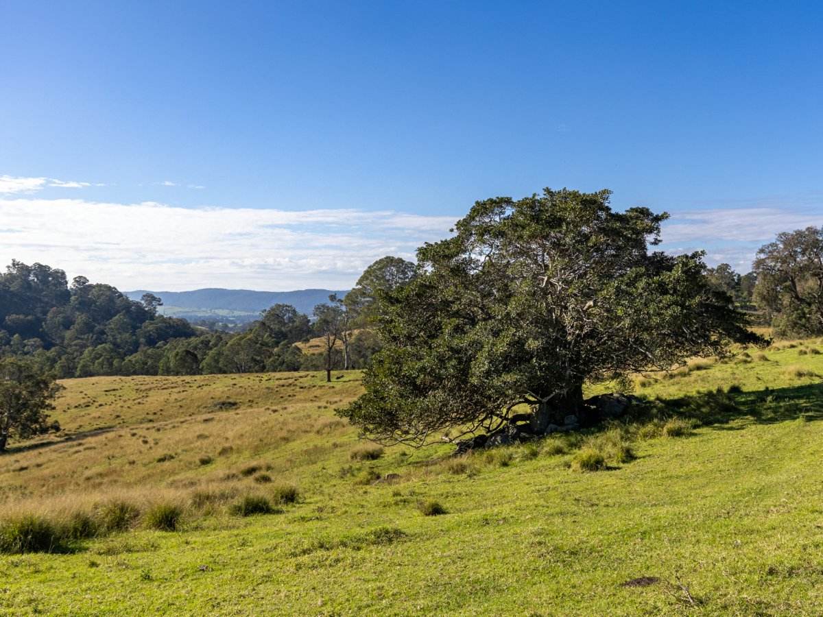 170 Peak Hill Road, Bega For Sale by Farmbuy.com - image 15