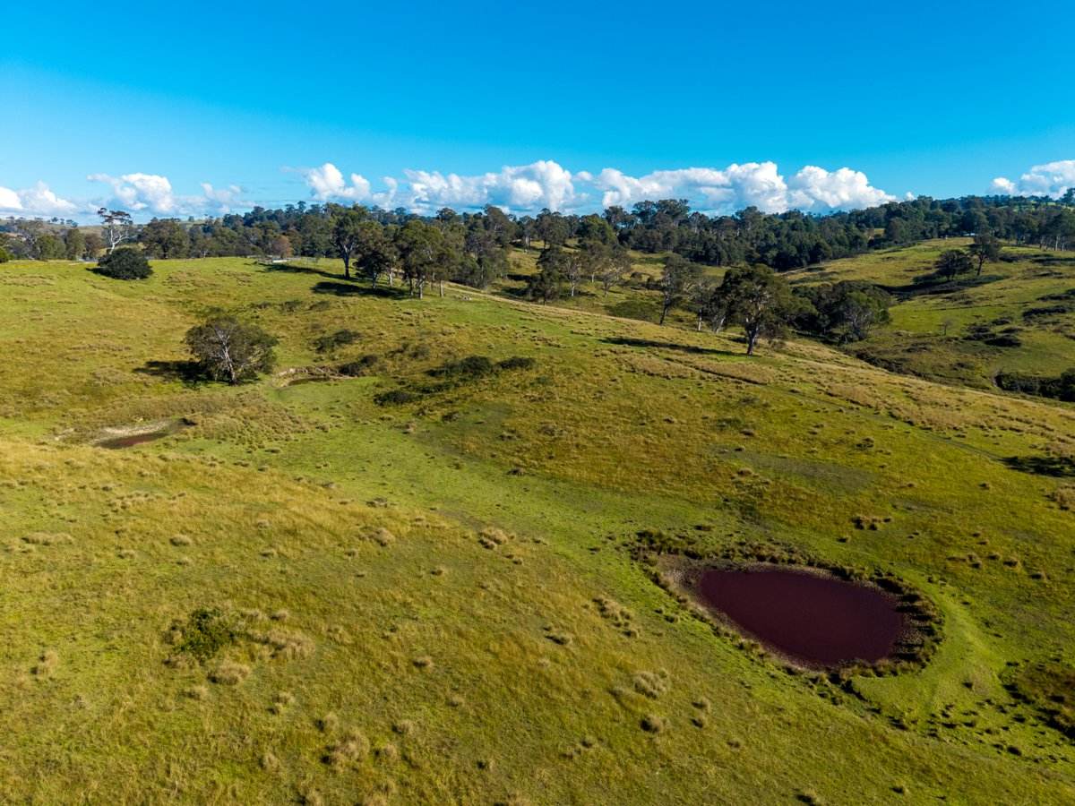 170 Peak Hill Road, Bega For Sale by Farmbuy.com - image 20