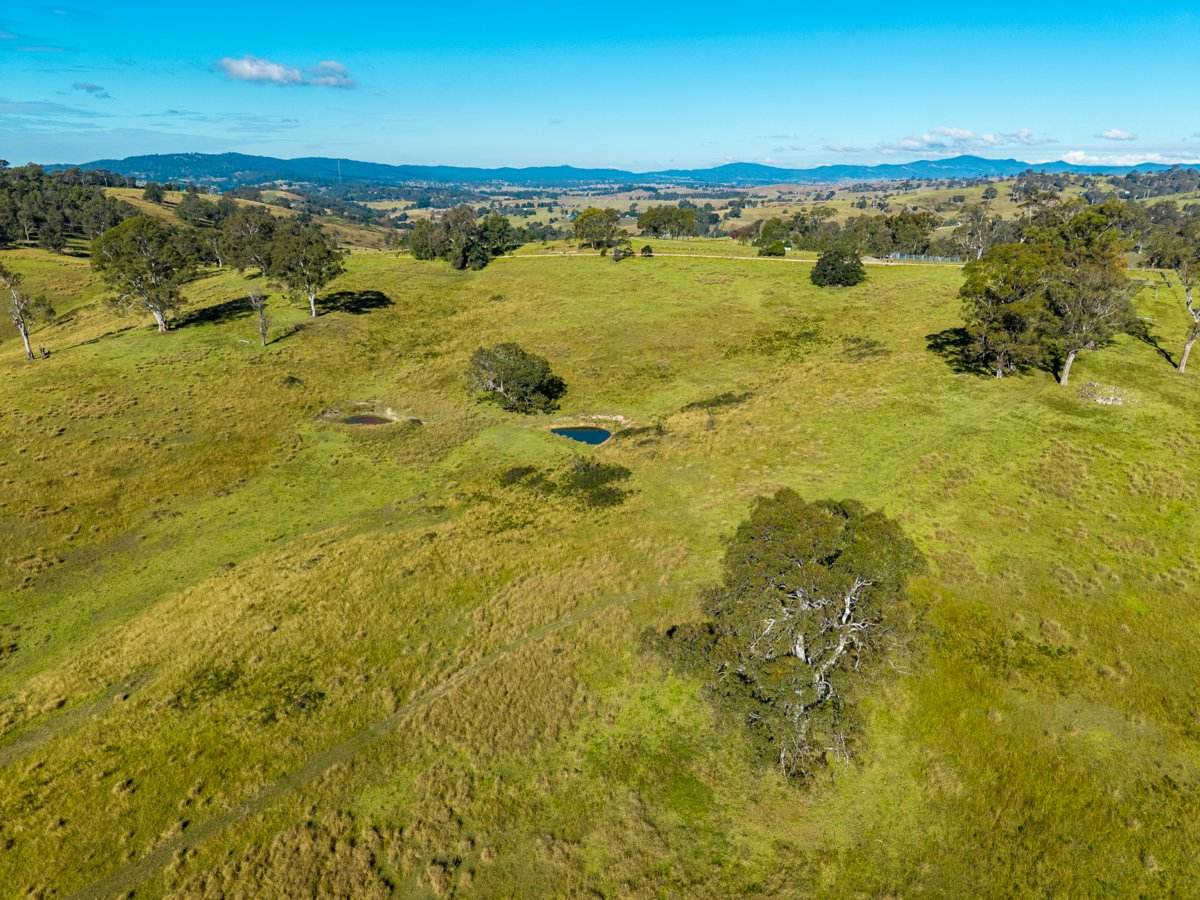 170 Peak Hill Road, Bega For Sale by Farmbuy.com - image 18
