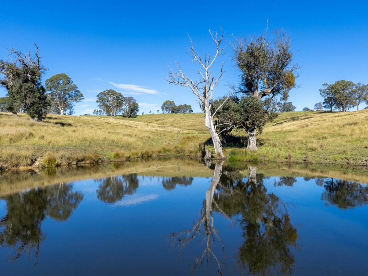 170 Peak Hill Road, Bega For Sale by Farmbuy.com - image 17
